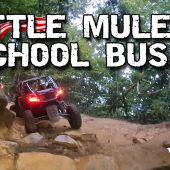 Windrock – Little Mule and Little School Bus Beatdown (Trails 46 and 38)